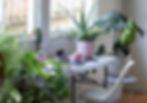 Peaceful home office with a variety of plants around a desk with computer and accessories.