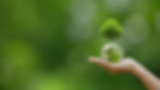 A hand holding a small globe with a tree sprouting on top, symbolizing sustainability and environmental care