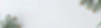 Gran-Background.jpg
