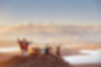 A group of people raising their arms in celebration at the top of a mountain after a hike