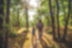 Parent and child walking hand-in-hand through a sunny forest, surrounded by tall green trees.