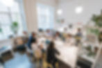 A group of people working together in a modern, bright co-working office space with plants and laptops