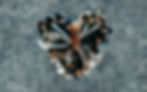 A diverse team standing in a circle, placing their hands together in a symbol of teamwork and unity.