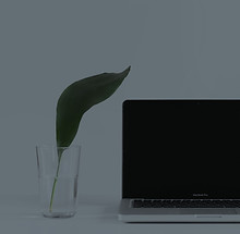 sarah-dorweiler-QeVmJxZOv3k-unsplash_edited.jpg